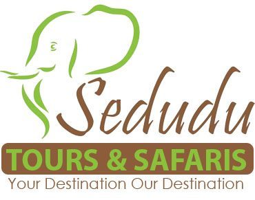 Sedudu Tours & Safari